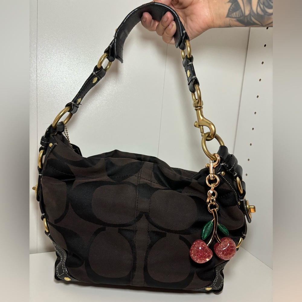 Coach Carly Bag
